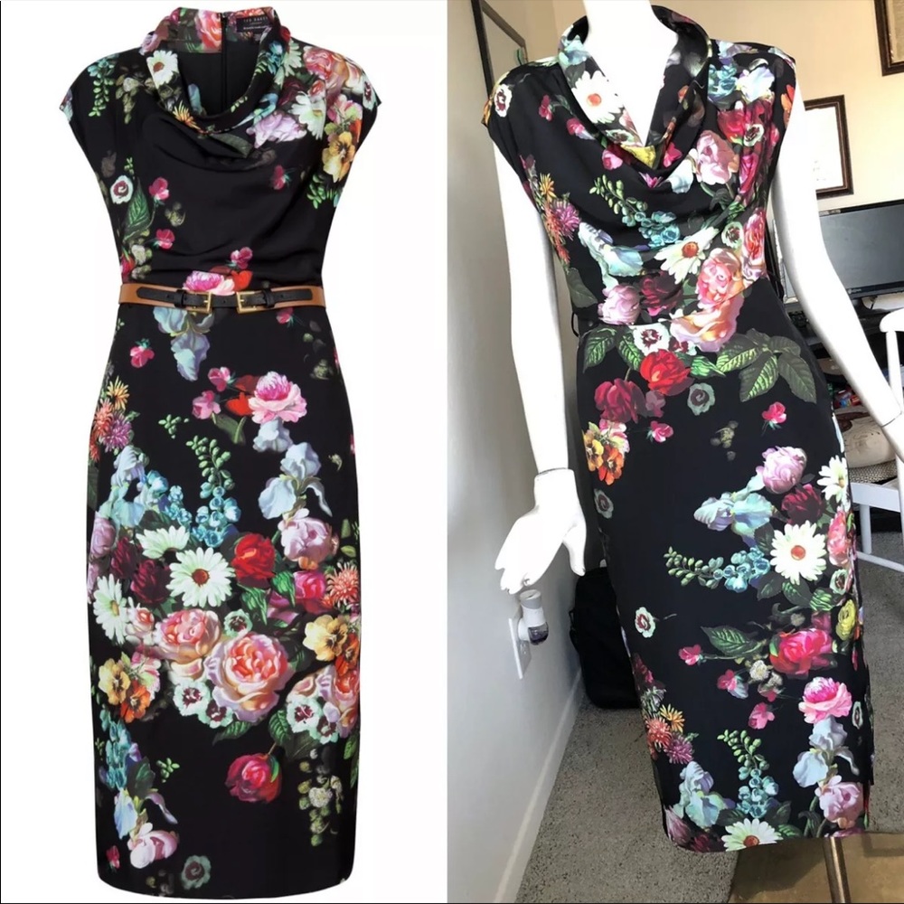 Ted Baker London Oil Painting Watercolor Floral Dress, Size 1